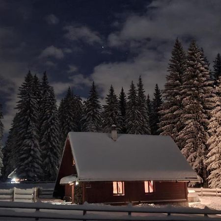 Cosy Chalet on Pokljuka - Brunarica Tinkara Zgornje Gorje Bagian luar foto