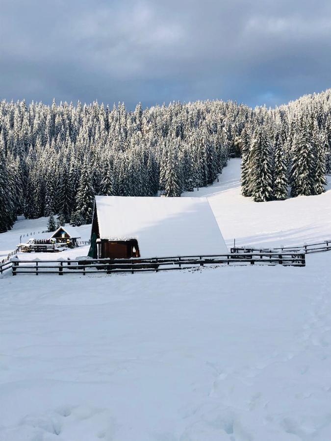 Cosy Chalet on Pokljuka - Brunarica Tinkara Zgornje Gorje Bagian luar foto