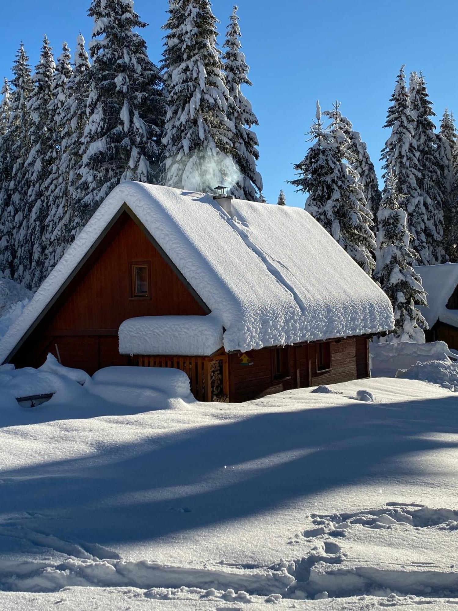 Cosy Chalet on Pokljuka - Brunarica Tinkara Zgornje Gorje Bagian luar foto
