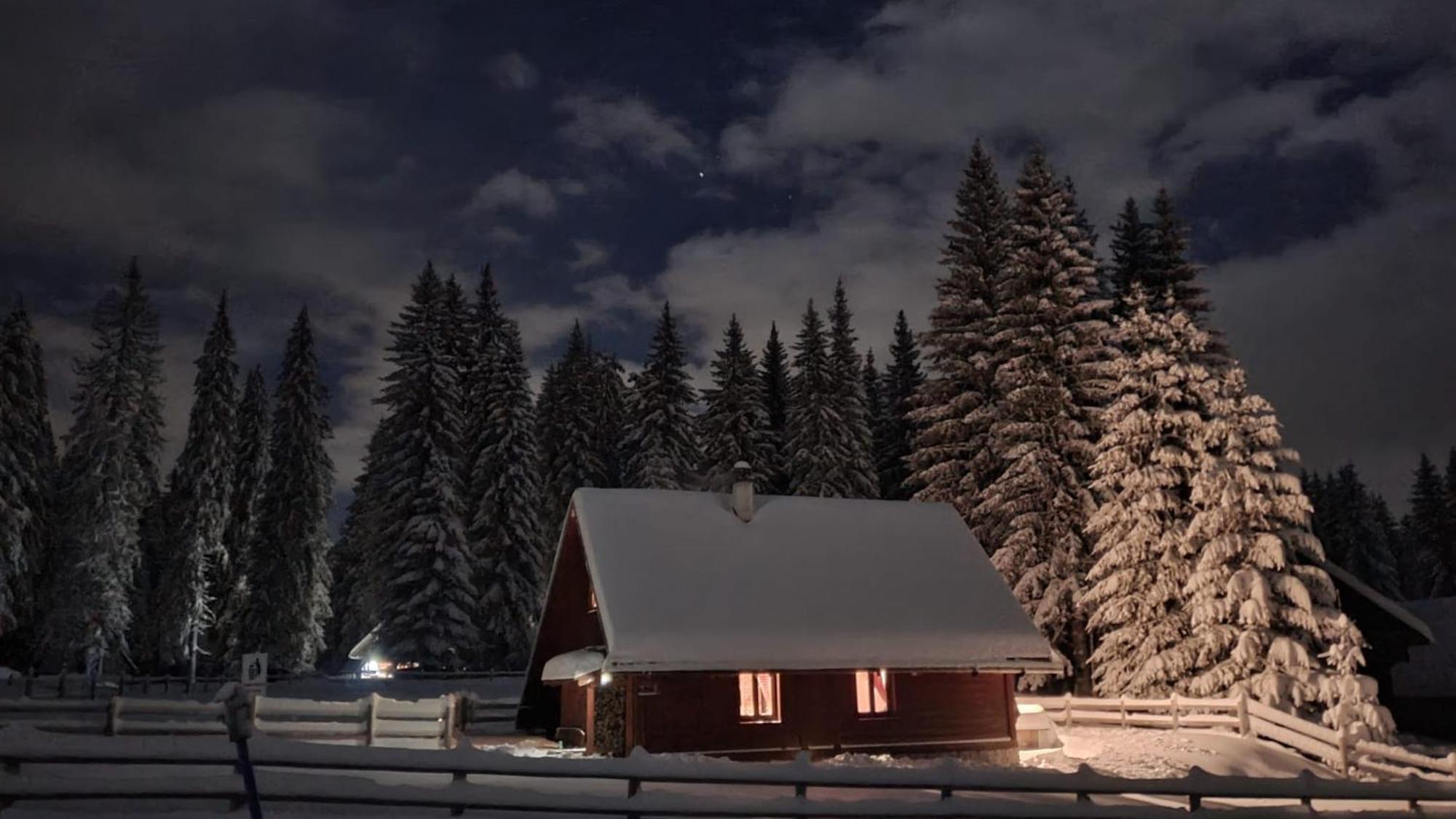 Cosy Chalet on Pokljuka - Brunarica Tinkara Zgornje Gorje Bagian luar foto