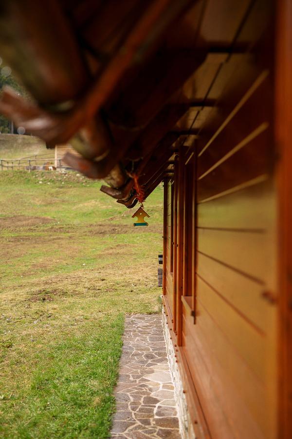 Cosy Chalet on Pokljuka - Brunarica Tinkara Zgornje Gorje Bagian luar foto